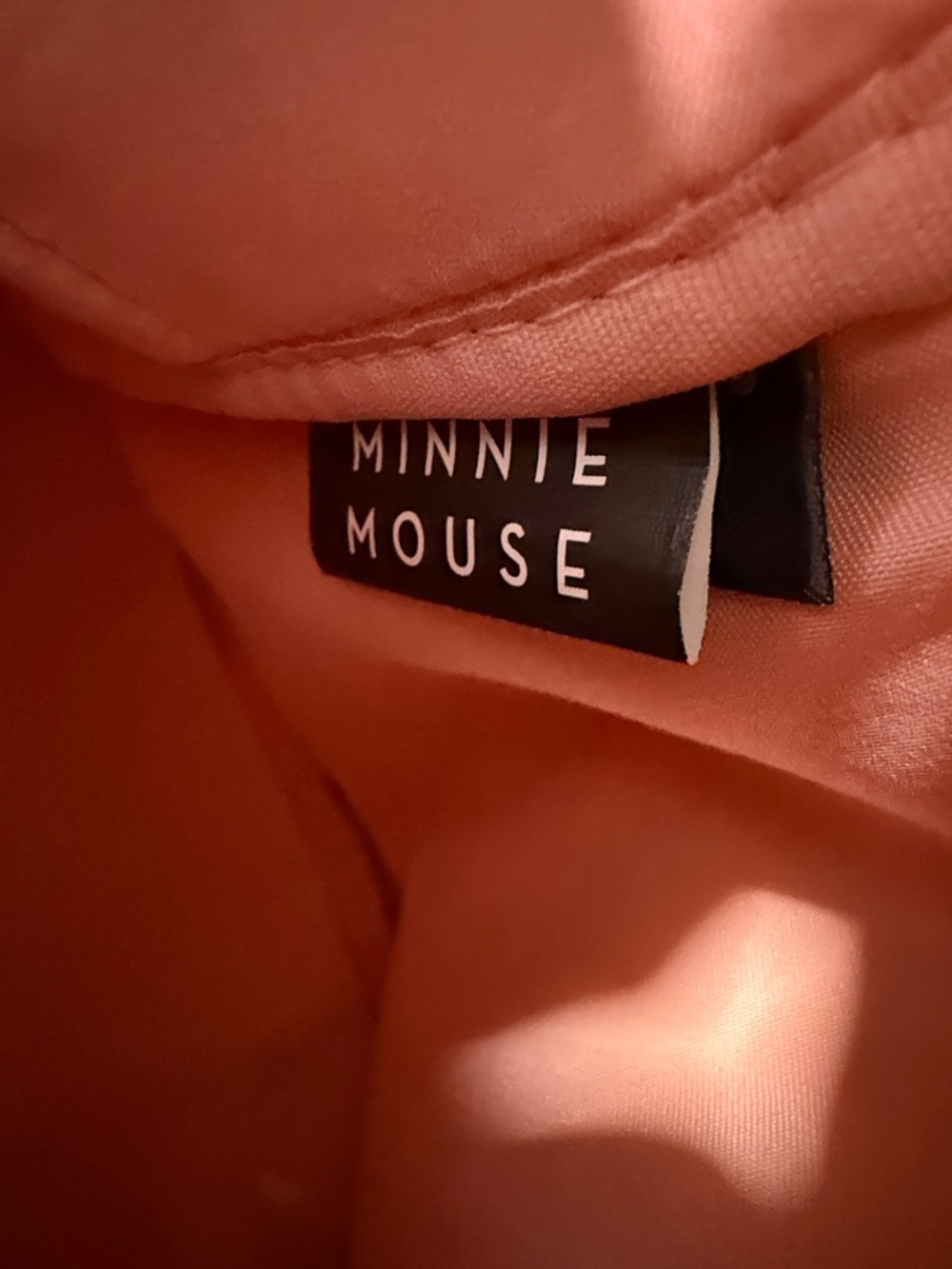 Disney BioworldMinnie Mouse pastel floral mini backpack - Picture 5 of 7